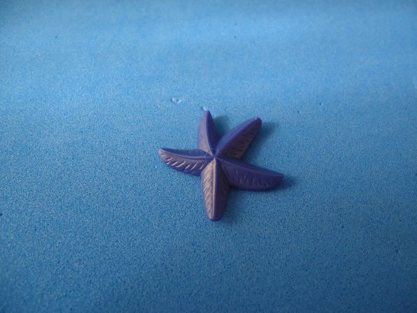 Playmobil Estrela do Mar Azul
